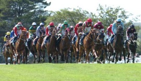 Galway Races 2010